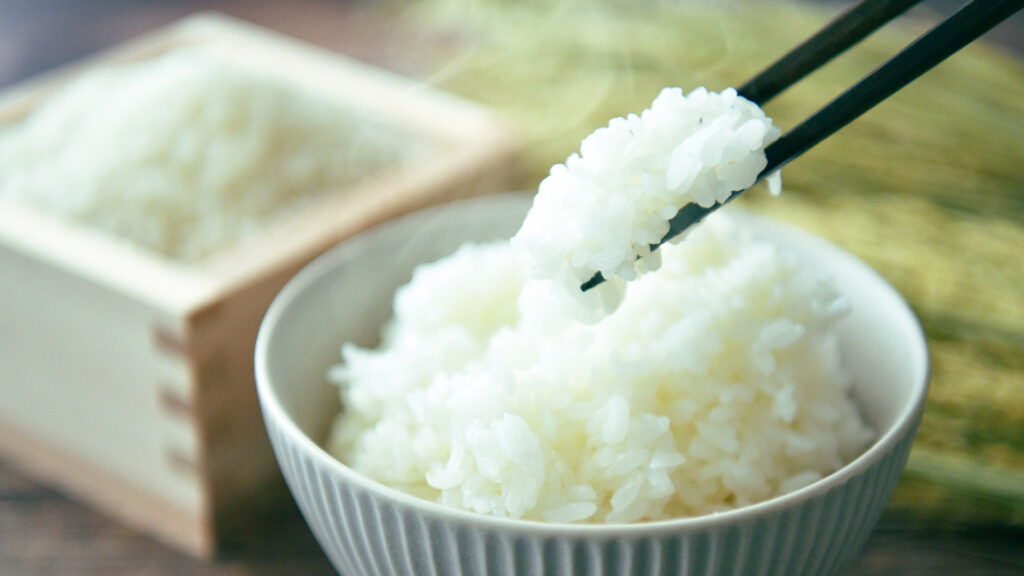 箸で持ったご飯